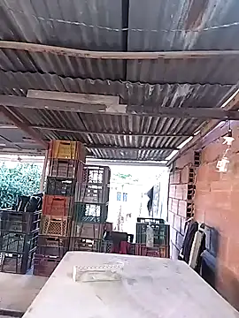 Snapshot of hoteder chatting on 02/11/26, 12:10 hoteder online show from 02/11/26, 12:10