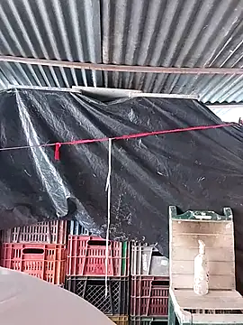 Snapshot of hoteder chatting on 02/23/26, 02:47 hoteder online show from 02/23/26, 02:47