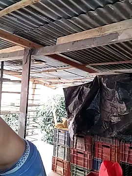 Snapshot of hoteder chatting on 02/24/26, 01:53 hoteder online show from 02/24/26, 01:53