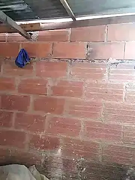 hoteder online show from 03/07/26, 11:51