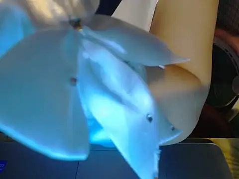 Snapshot of ahoa_Tk chatting on 10/25/25, 06:57 ahoa Tk online show from 10/25/25, 06:57