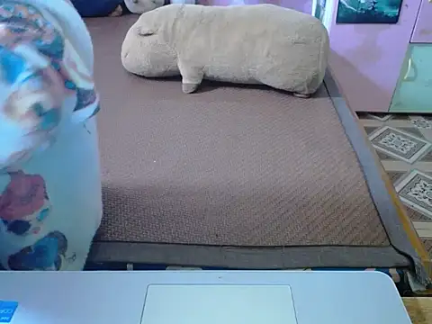 Snapshot of ahoa_Tk chatting on 11/04/25, 02:32 ahoa Tk online show from 11/04/25, 02:32