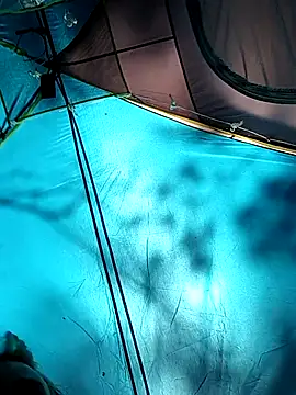 PainPriness online show from 09/29/25, 06:35