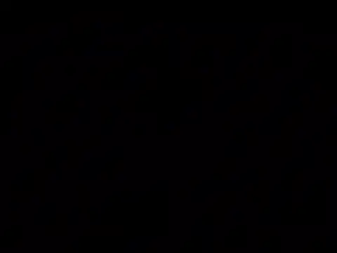 Nuttygmarley online show from 04/28/26, 11:54