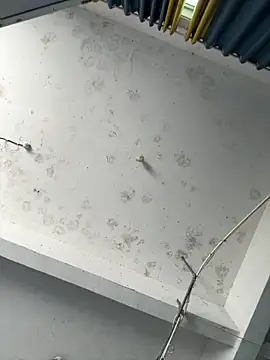 Snapshot of coco-o chatting on 09/26/25, 03:10 coco-o online show from 09/26/25, 03:10