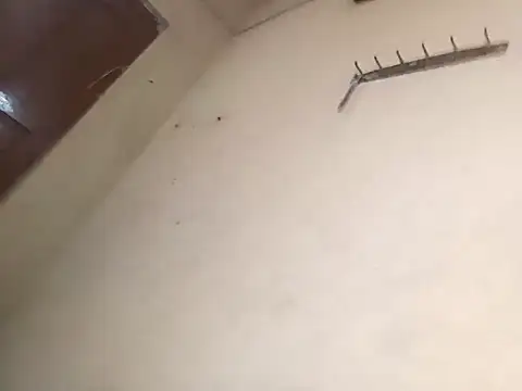 96Rohon online show from 10/18/25, 02:58