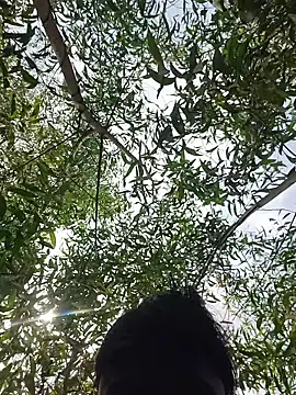 96Rohon online show from 03/21/26, 06:18