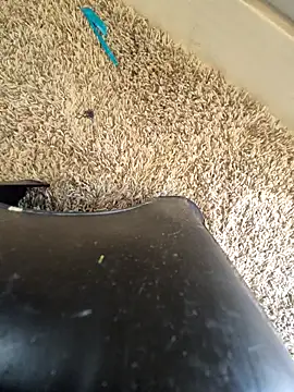 EsDezz88 online show from 03/22/26, 08:23