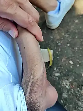 Master pigdirty online show from 09/19/25, 03:56