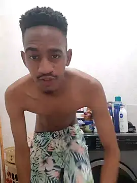 Snapshot of gemini_loops chatting on 10/02/25, 04:47 gemini loops online show from 10/02/25, 04:47