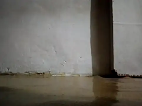 Snapshot of ananda93 chatting on 10/30/25, 07:03 ananda93 online show from 10/30/25, 07:03