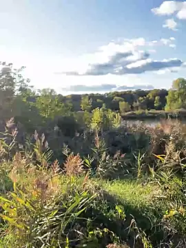 FavoriteKira online show from 09/20/25, 02:07