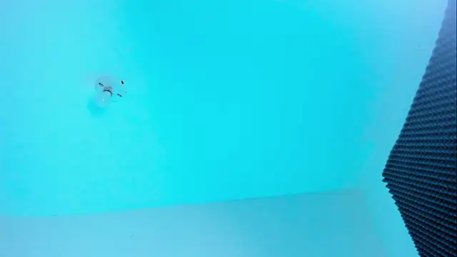 Im naho online show from 10/22/25, 11:04