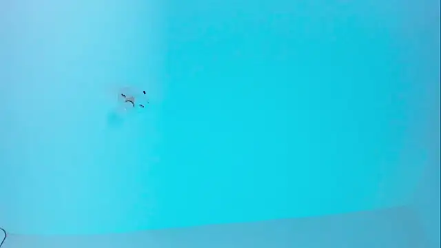 Im naho online show from 11/19/25, 09:59