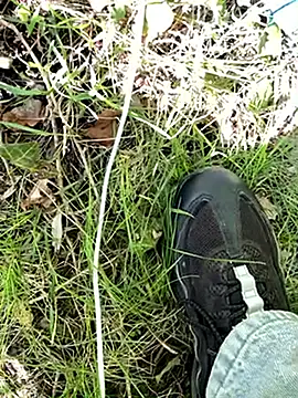 Leonddx online show from 04/22/26, 01:12