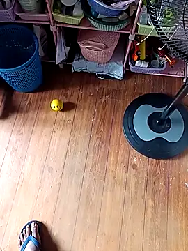 WholeAltimeter25 online show from 11/27/25, 06:15