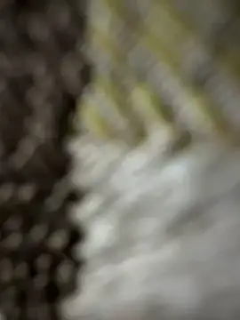 monster20cm online show from 03/15/26, 03:23