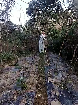 linda bae00 online show from 11/27/25, 12:46