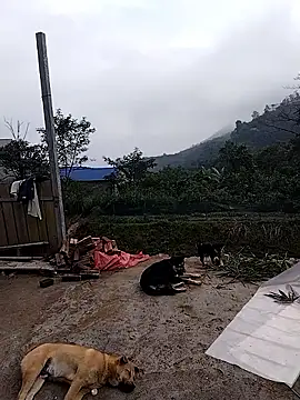 linda bae00 online show from 12/19/25, 02:07