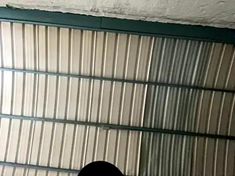 rider239 online show from 10/24/25, 09:28