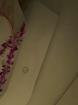 HaltBrand online show from 03/01/26, 09:11