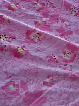 Hl1979 online show from 04/24/26, 06:27