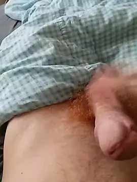 bodrika online show from 02/17/26, 02:57