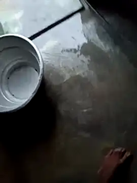 Snapshot of dolphiinn chatting on 11/28/25, 01:08 dolphiinn online show from 11/28/25, 01:08