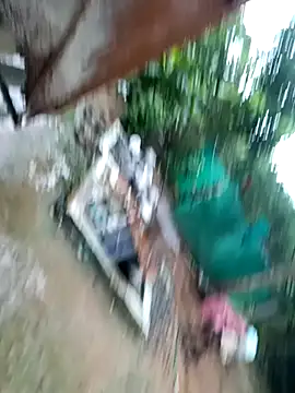 Snapshot of dolphiinn chatting on 11/29/25, 01:41 dolphiinn online show from 11/29/25, 01:41