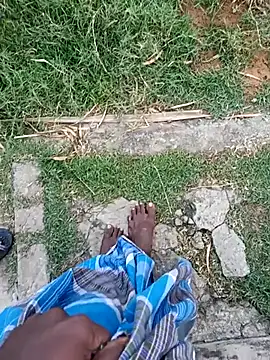 dolphiinn online show from 01/12/26, 01:33