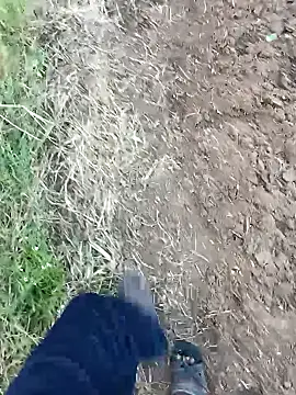 dolphiinn online show from 02/14/26, 01:24