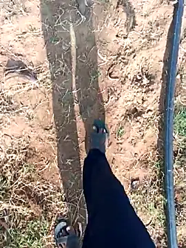 dolphiinn online show from 02/25/26, 03:16