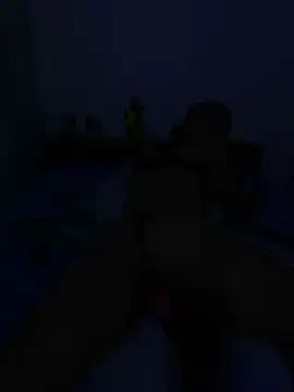 Snapshot of DALEX65 chatting on 12/17/25, 06:47 DALEX65 online show from 12/17/25, 06:47