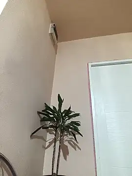 Snapshot of papichulo0099 chatting on 10/21/25, 03:07 papichulo0099 online show from 10/21/25, 03:07