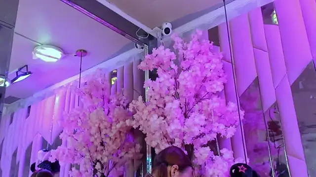 Snapshot of TessaCooper1 chatting on 11/09/25, 09:46 TessaCooper1 online show from 11/09/25, 09:46