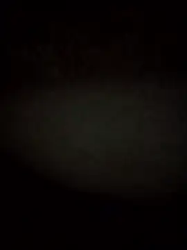 Snapshot of RevokingWaverer chatting on 02/03/26, 12:10 RevokingWaverer online show from 02/03/26, 12:10