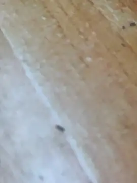 Markroco696 online show from 10/16/25, 04:24