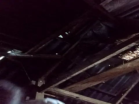 Snapshot of _Helala_ chatting on 10/25/25, 11:21 Helala online show from 10/25/25, 11:21