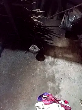 Snapshot of _Helala_ chatting on 11/21/25, 12:32 Helala online show from 11/21/25, 12:32