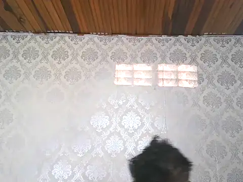 leandro477 online show from 09/13/25, 09:14