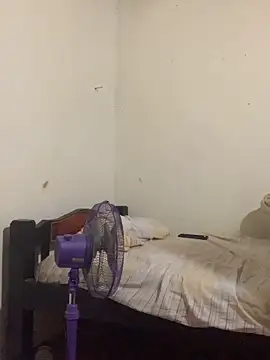 AE 03 online show from 02/12/26, 05:02