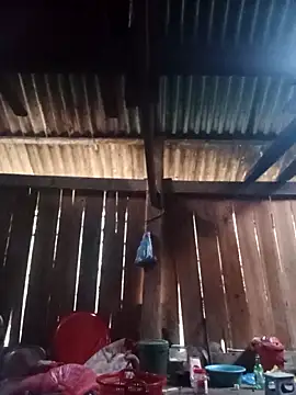 Ngocmi909 online show from 03/06/26, 12:40