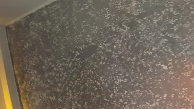 Julieth brown  online show from 12/05/25, 07:54