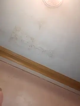 Snapshot of Klubnyhka3991 chatting on 12/16/25, 09:31 Klubnyhka3991 online show from 12/16/25, 09:31