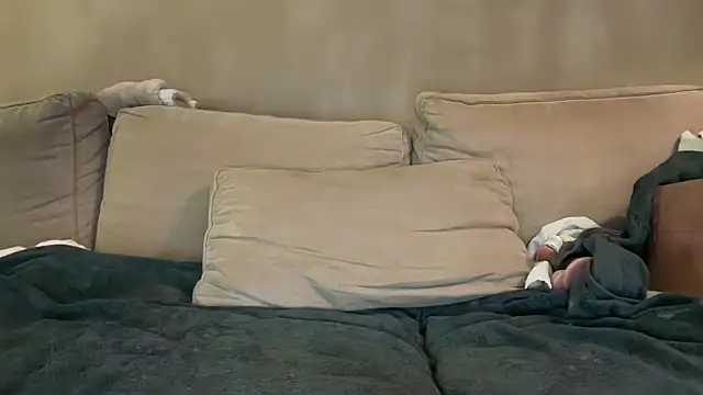 Rimvideo online show from 02/12/26, 09:32