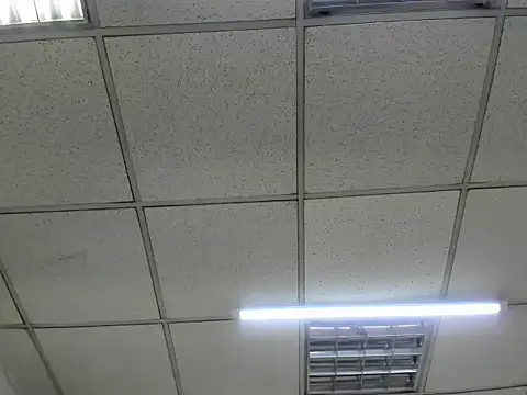 ScarletDoll online show from 10/24/25, 02:52