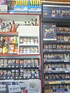 Snapshot of Fluturas2 chatting on 09/09/25, 08:47 Fluturas2 online show from 09/09/25, 08:47