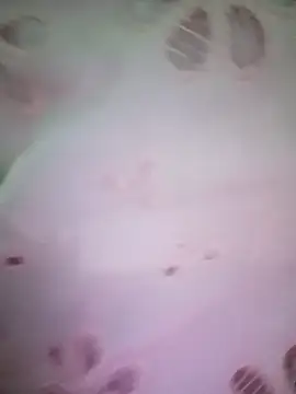 merylove-00 online show from 04/15/26, 03:30