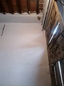 PunjabiSardarBull online show from 03/19/26, 04:38