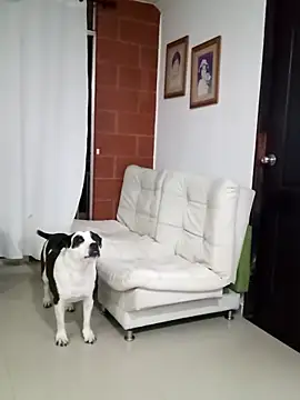 Isbettyche online show from 02/11/26, 11:54